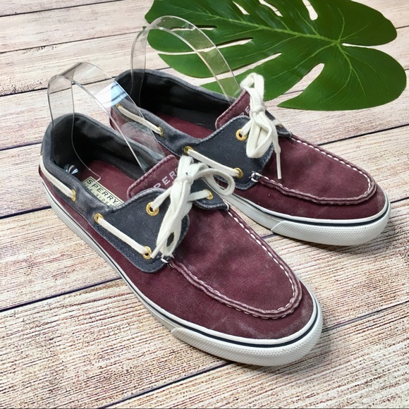 sperry blue canvas boat shoe